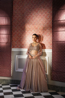 Premium Organza Silk Embroidered Lehenga with Heavy Jari & Sequins 3.5 Mtr Flair, Semi-Stitched