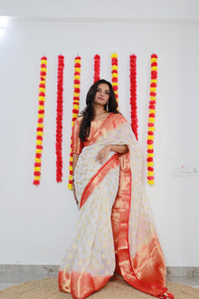 Beige Net Saree with Silver Sequin Embroidery for Parties