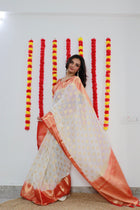 Beige Net Saree with Silver Sequin Embroidery for Parties