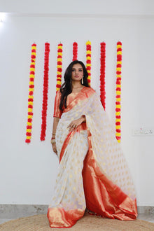 Beige Net Saree with Silver Sequin Embroidery for Parties
