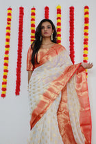 Beige Net Saree with Silver Sequin Embroidery for Parties